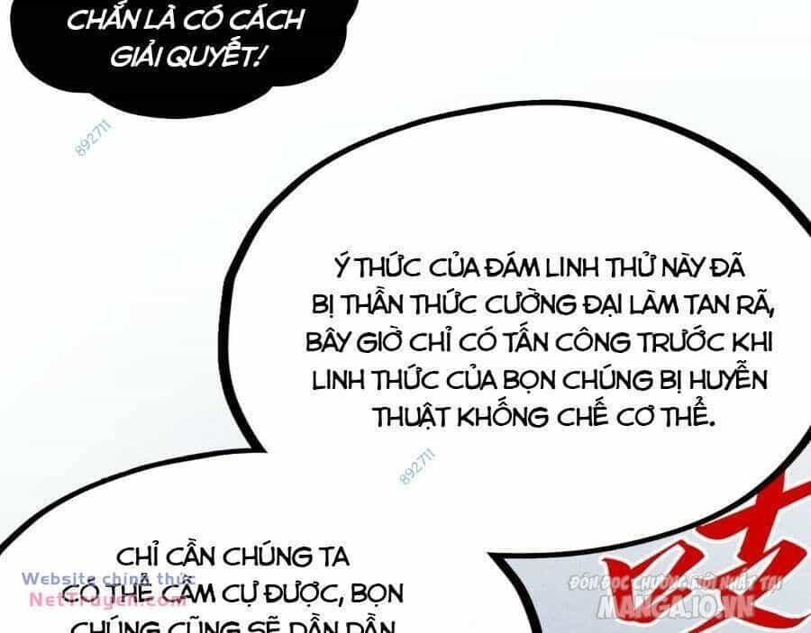 Vạn Cổ Chí Tôn - Chương 293 - ảnh 14