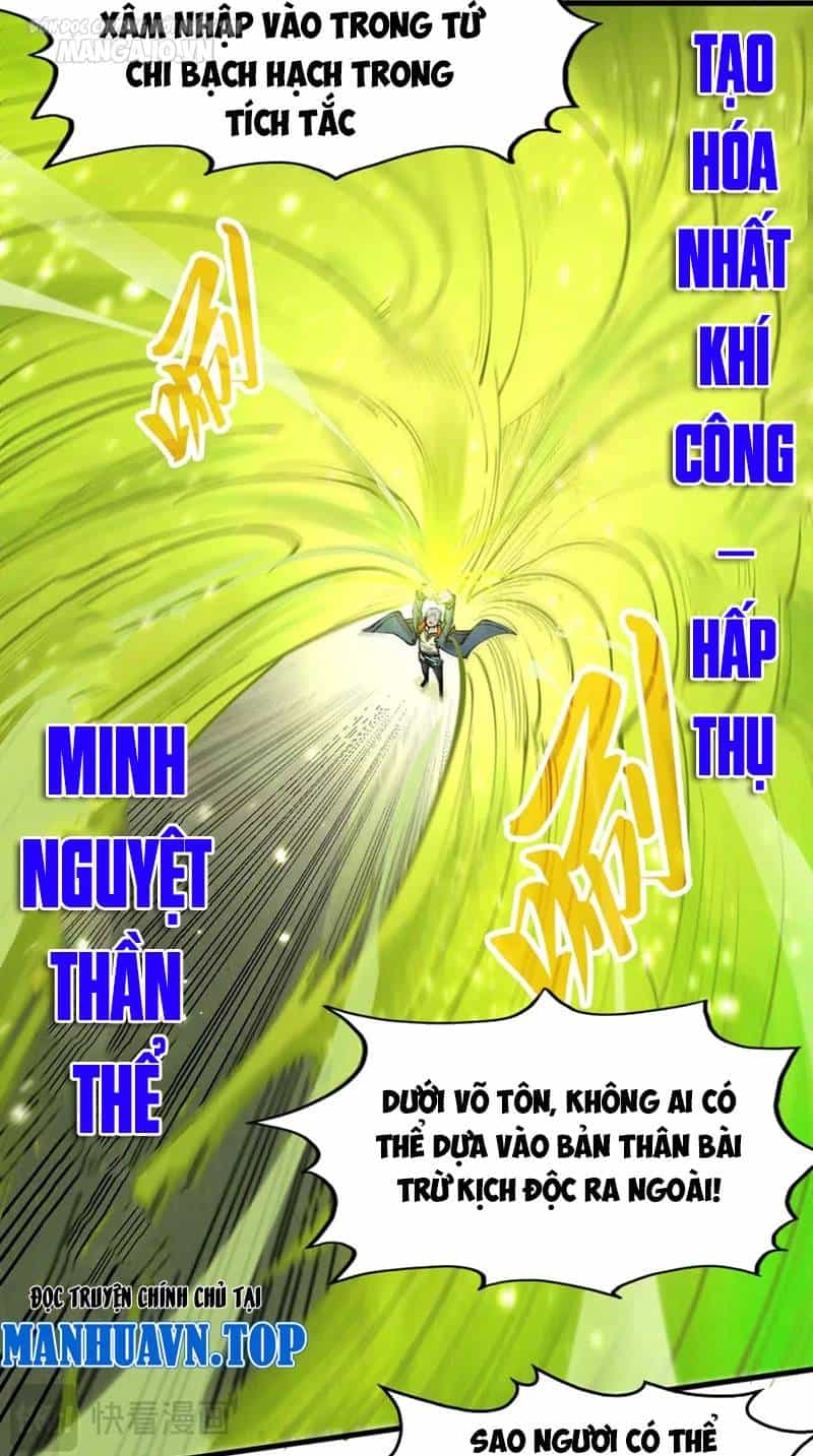 Vạn Cổ Chí Tôn - Chương 298 - ảnh 41