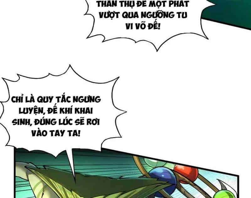 Vạn Cổ Chí Tôn - Chương 374 - ảnh 26