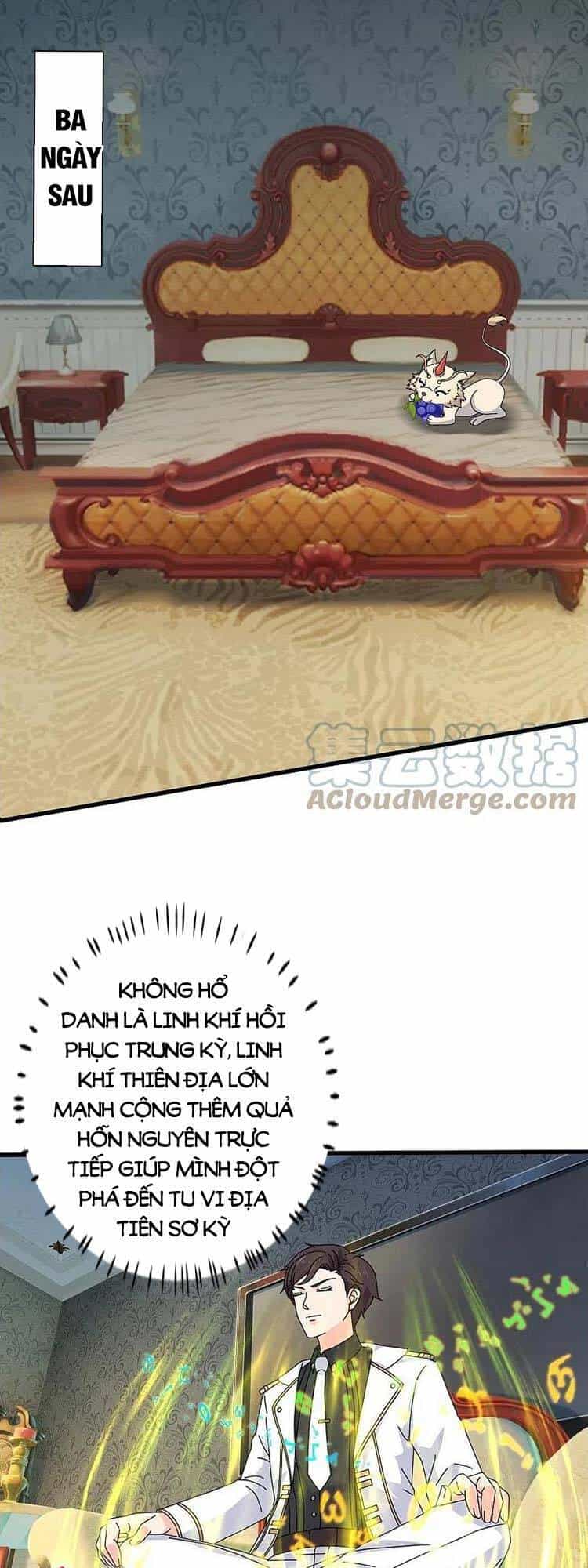 Vạn Cổ Thần Vương - Chương 384 - ảnh 12