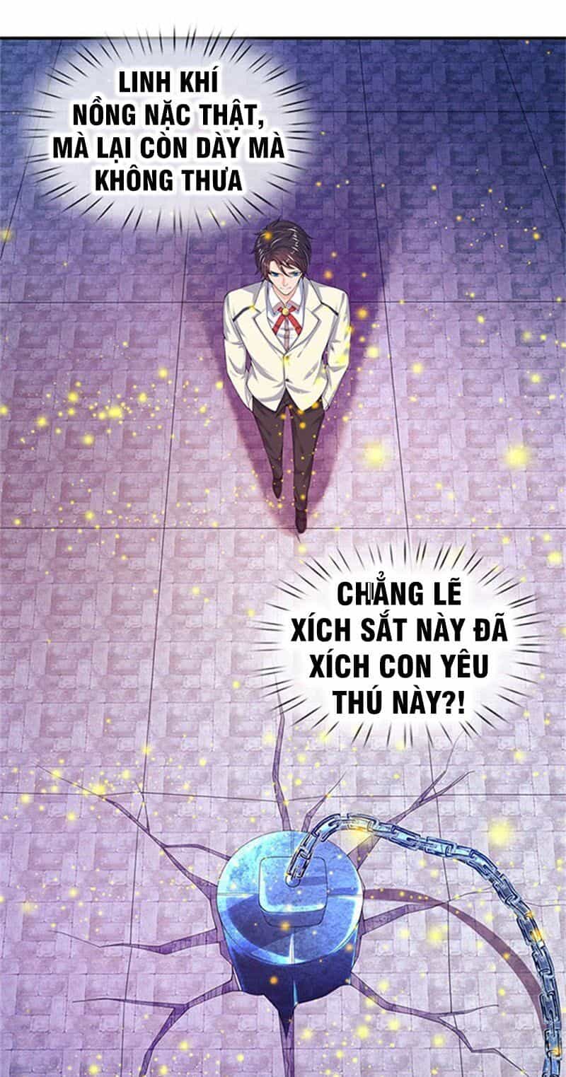Vạn Cổ Thần Vương - Chương 80 - ảnh 1
