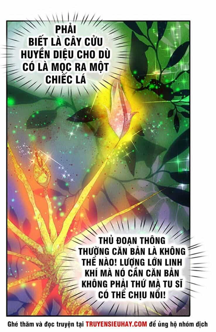 Vạn Cổ Thần Vương - Chương 80 - ảnh 17