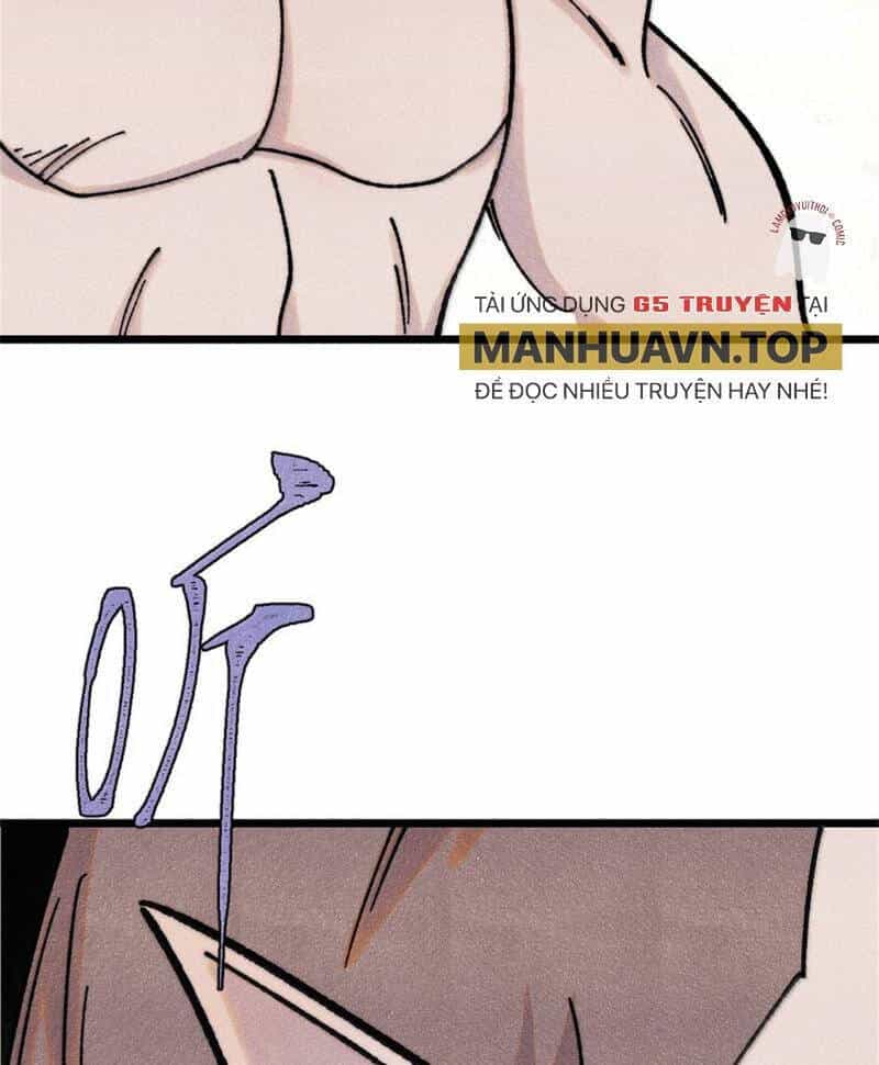 Vạn Cổ Tối Cường Tông - Chương 386 - ảnh 29