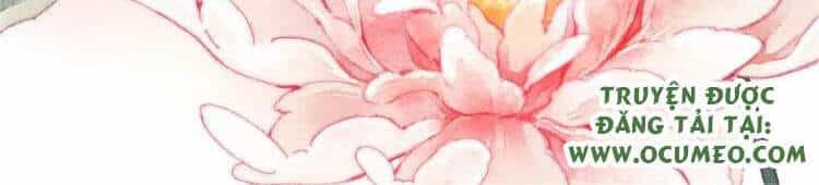 Vấn Đan Chu - Chương 24 - ảnh 2