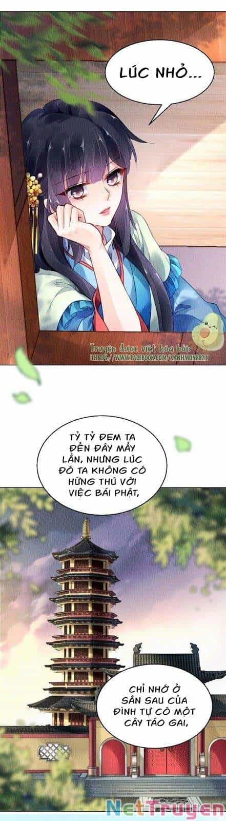 Vấn Đan Chu - Chương 29 - ảnh 17