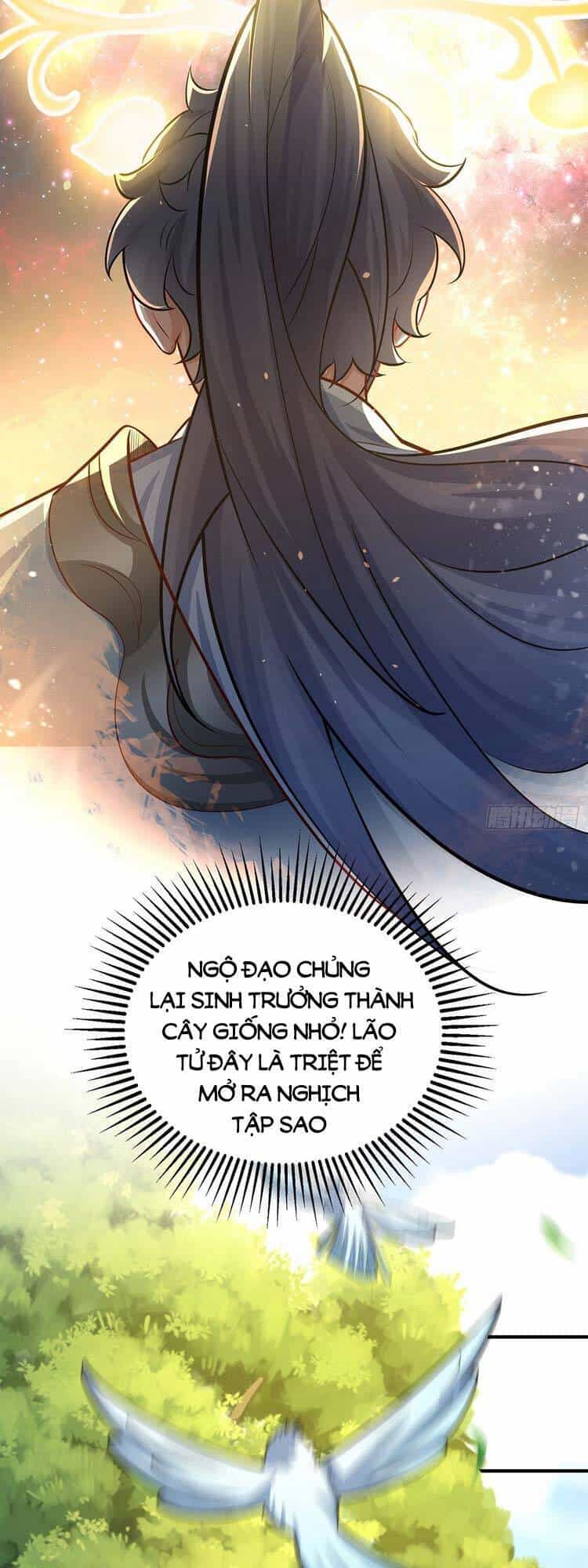 Vạn Đạo Chúa Tể - Chương 3 - ảnh 19