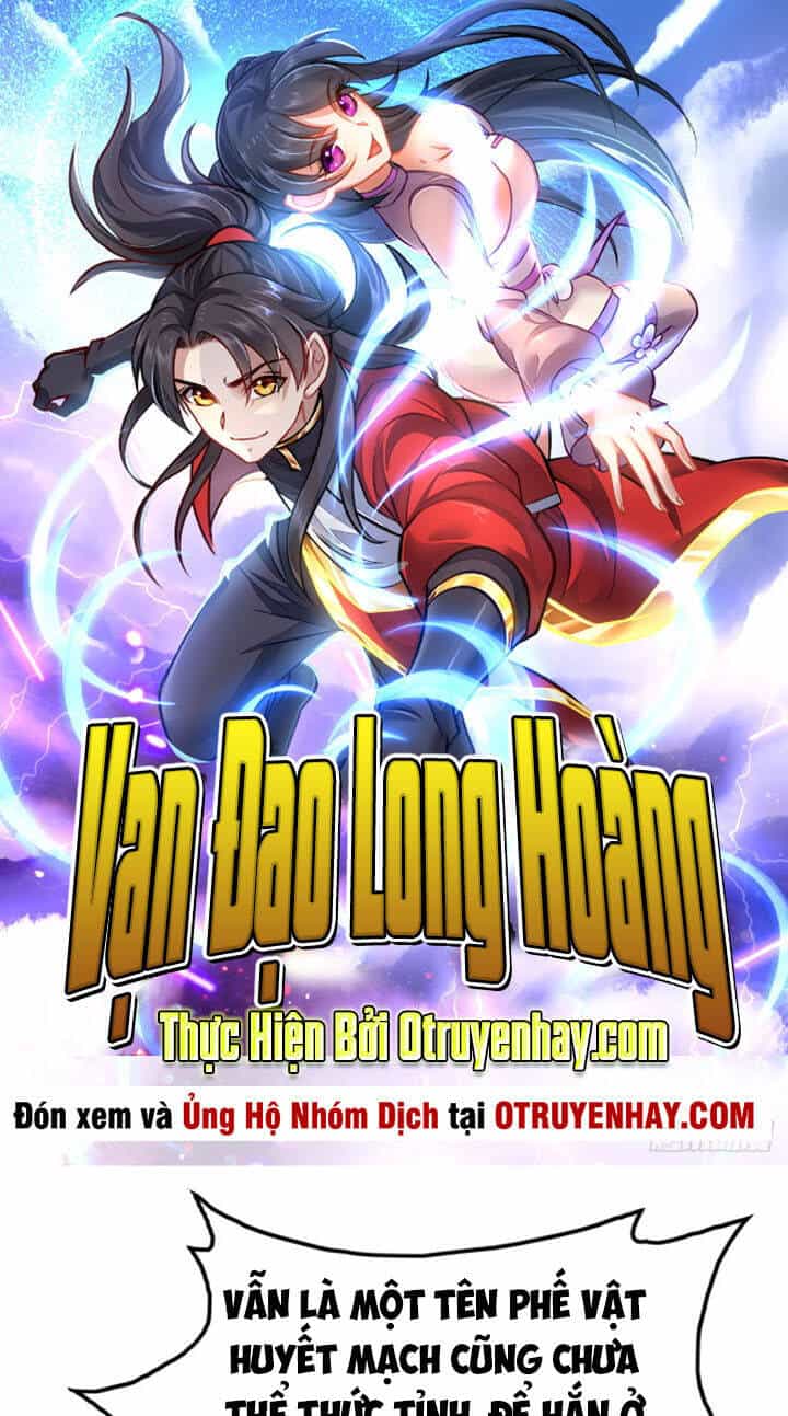 Vạn Đạo Long Hoàng - Chương 8 - ảnh 3