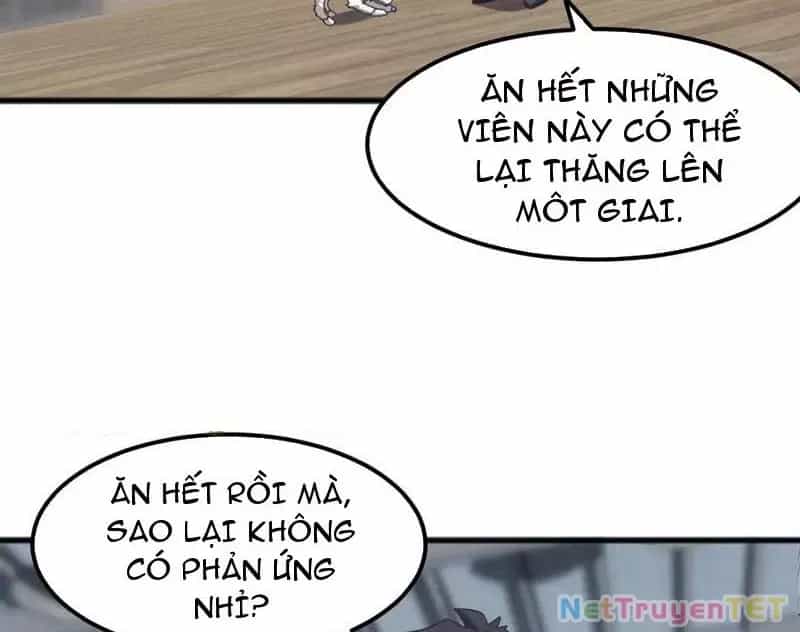 Vạn Tộc Xâm Lược :Mở Đầu Thuần Hóa Cự Thú Cấp Sử Thi - Chương 13 - ảnh 107