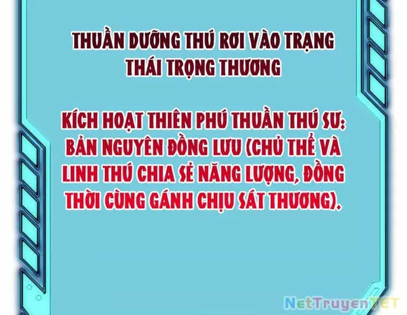 Vạn Tộc Xâm Lược :Mở Đầu Thuần Hóa Cự Thú Cấp Sử Thi - Chương 7 - ảnh 12