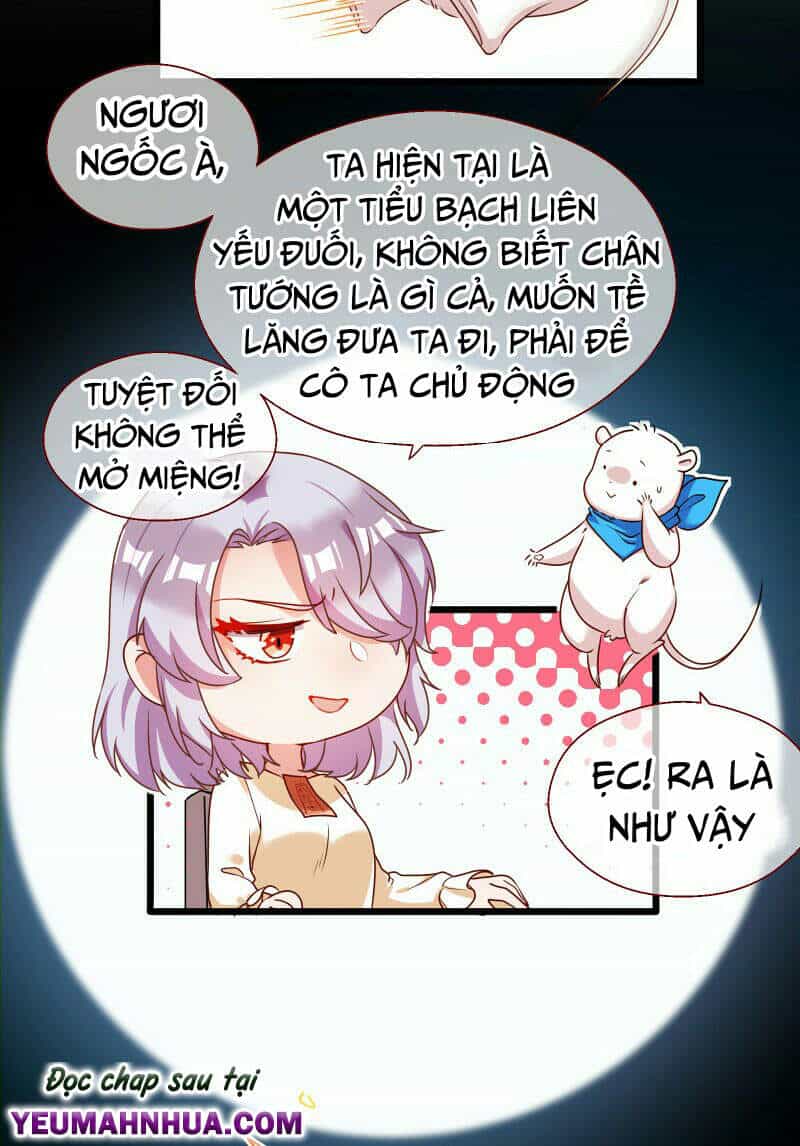 Vạn Tra Triêu Hoàng - Chương 141 - ảnh 31