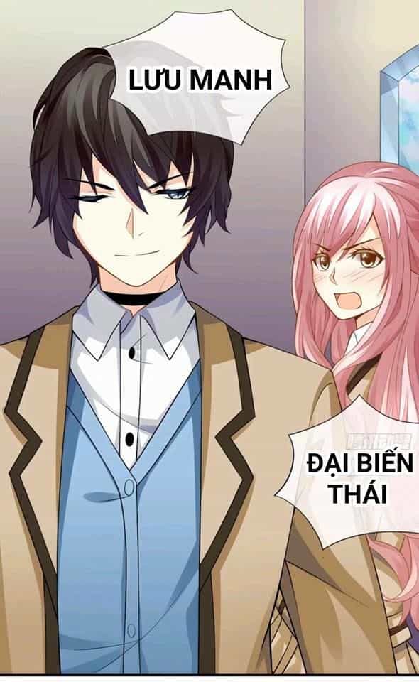 Vật Nuôi Đáng Yêu: Mèo Cỏ Của Tôi - Chương 1 - ảnh 55