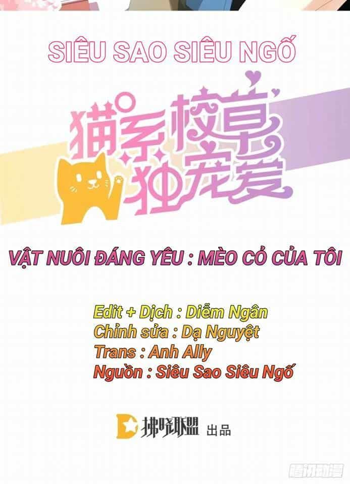 Vật Nuôi Đáng Yêu: Mèo Cỏ Của Tôi - Chương 1.5 - ảnh 2