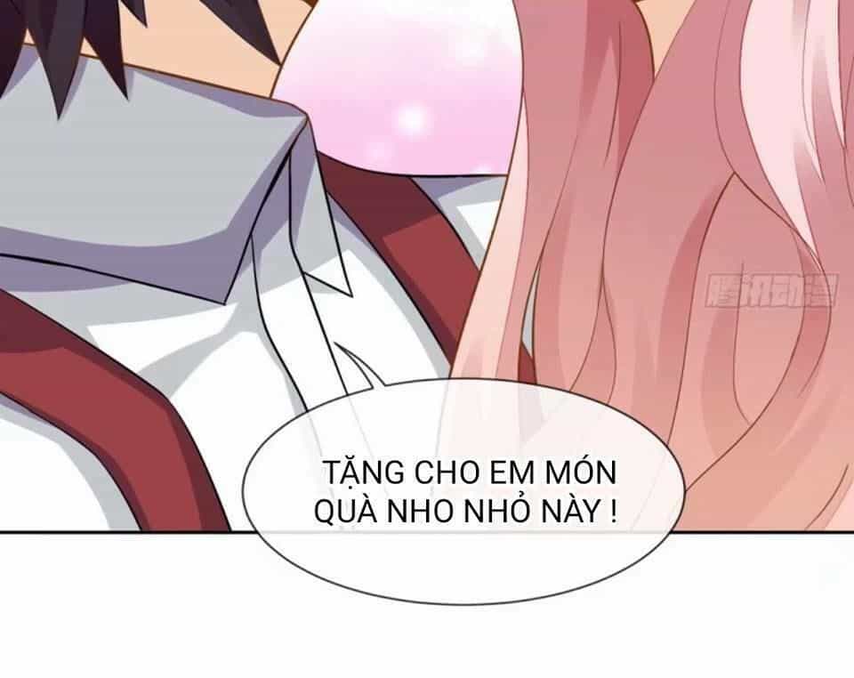 Vật Nuôi Đáng Yêu: Mèo Cỏ Của Tôi - Chương 2 - ảnh 14