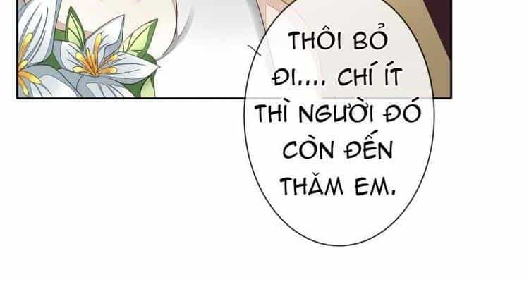 Vị Hôn Thê Bỏ Trốn - Chương 54 - ảnh 14