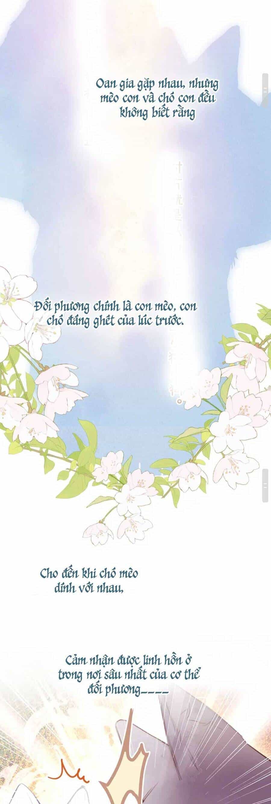 Vi Phu Của Ta Là Long Ngạo Thiên Phần 2 - Chương 2 - ảnh 8