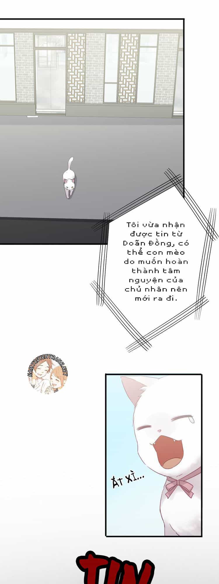Viện Bảo Tàng Tâm Nguyện - Chương 21.1 - ảnh 14