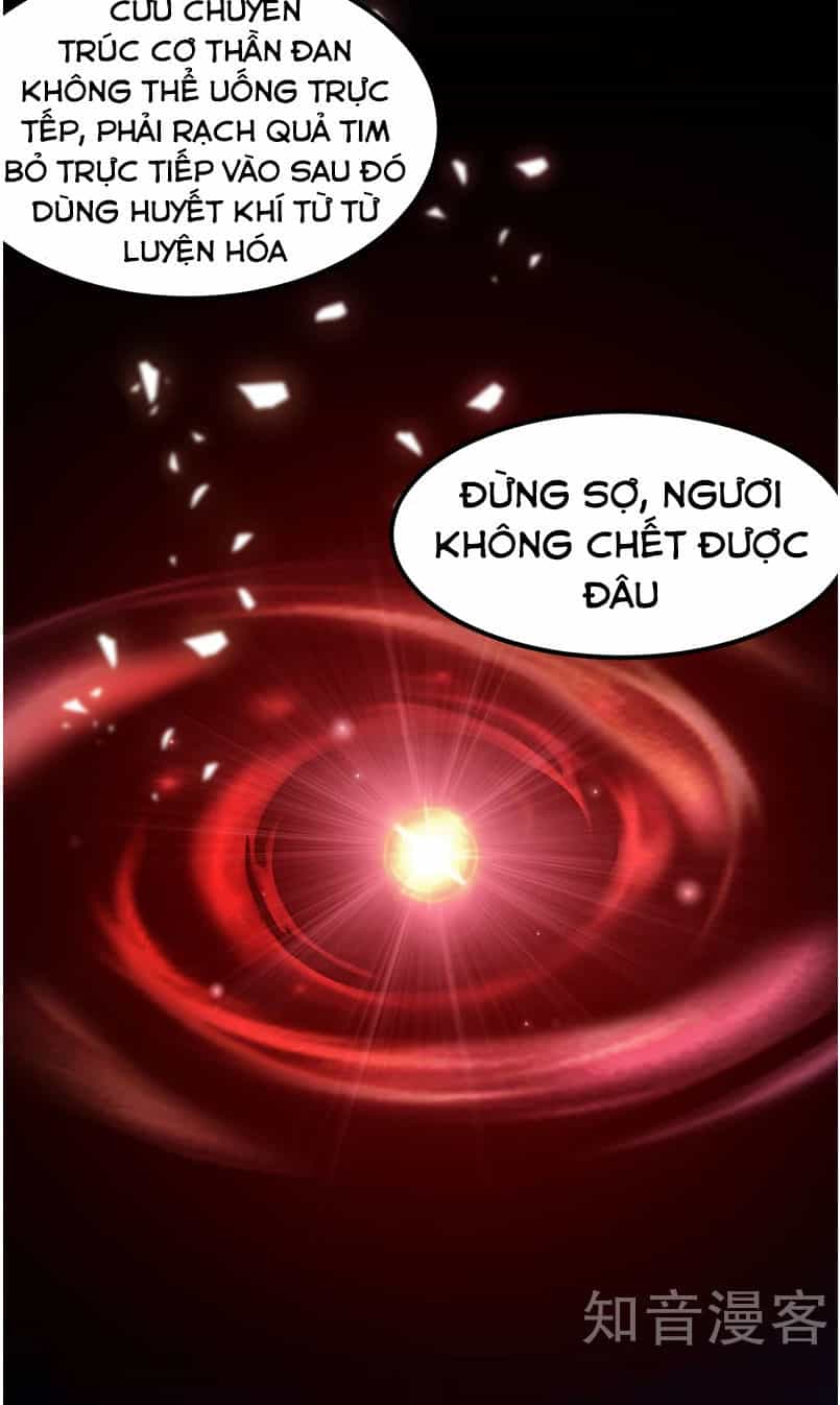 Võ Đạo Độc Tôn - Chương 2 - ảnh 28
