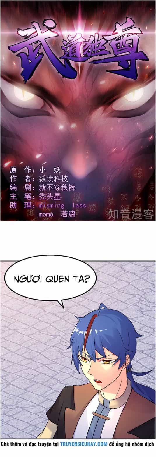 Võ Đạo Độc Tôn - Chương 29 - ảnh 1