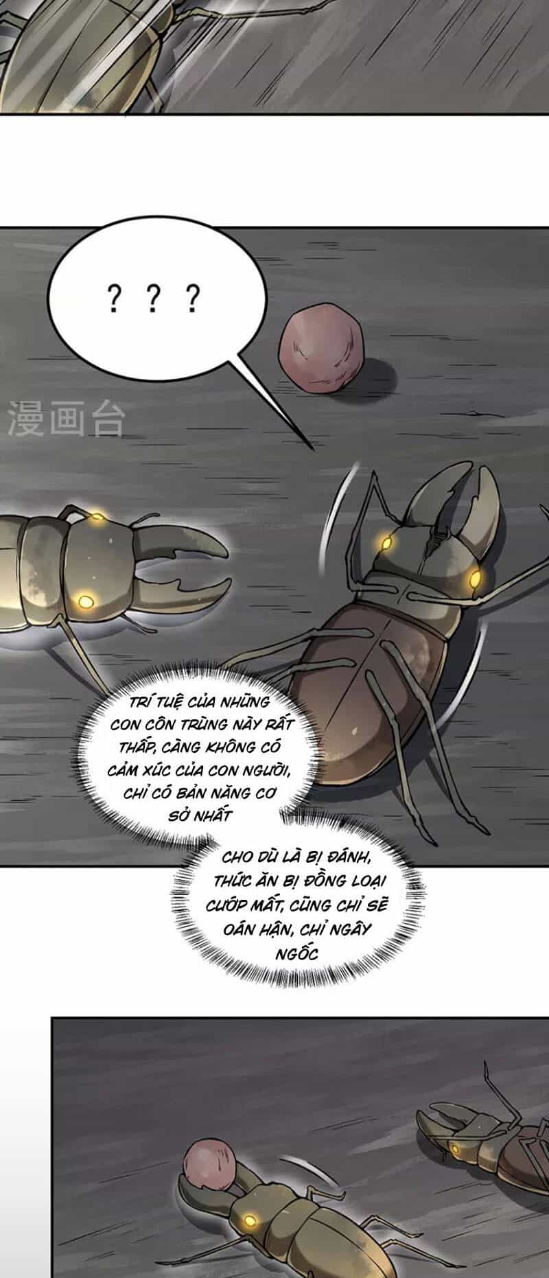 Võ Đạo Độc Tôn - Chương 383 - ảnh 23
