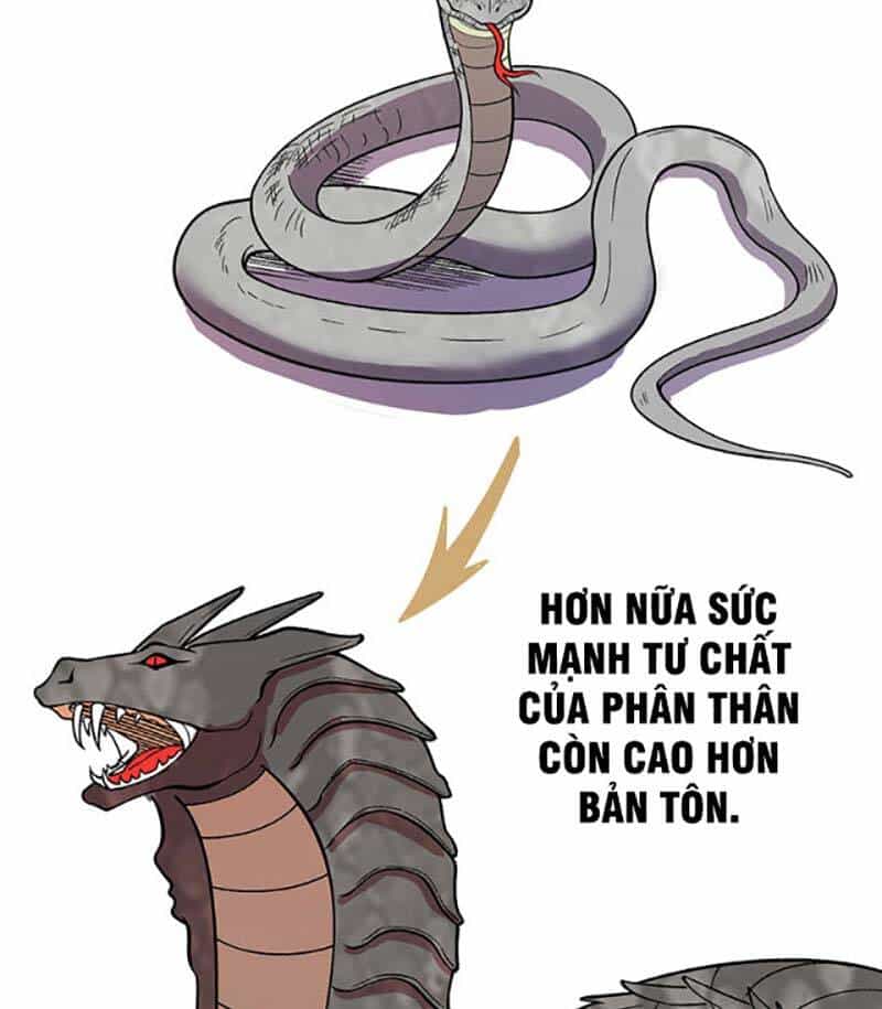 Võ Đạo Độc Tôn - Chương 444 - ảnh 93