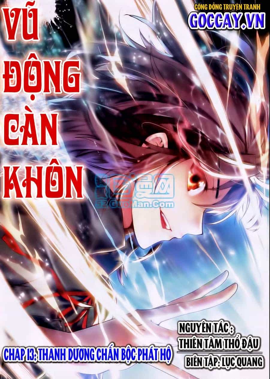 Võ Động Càn Khôn - Chương 13 - ảnh 1