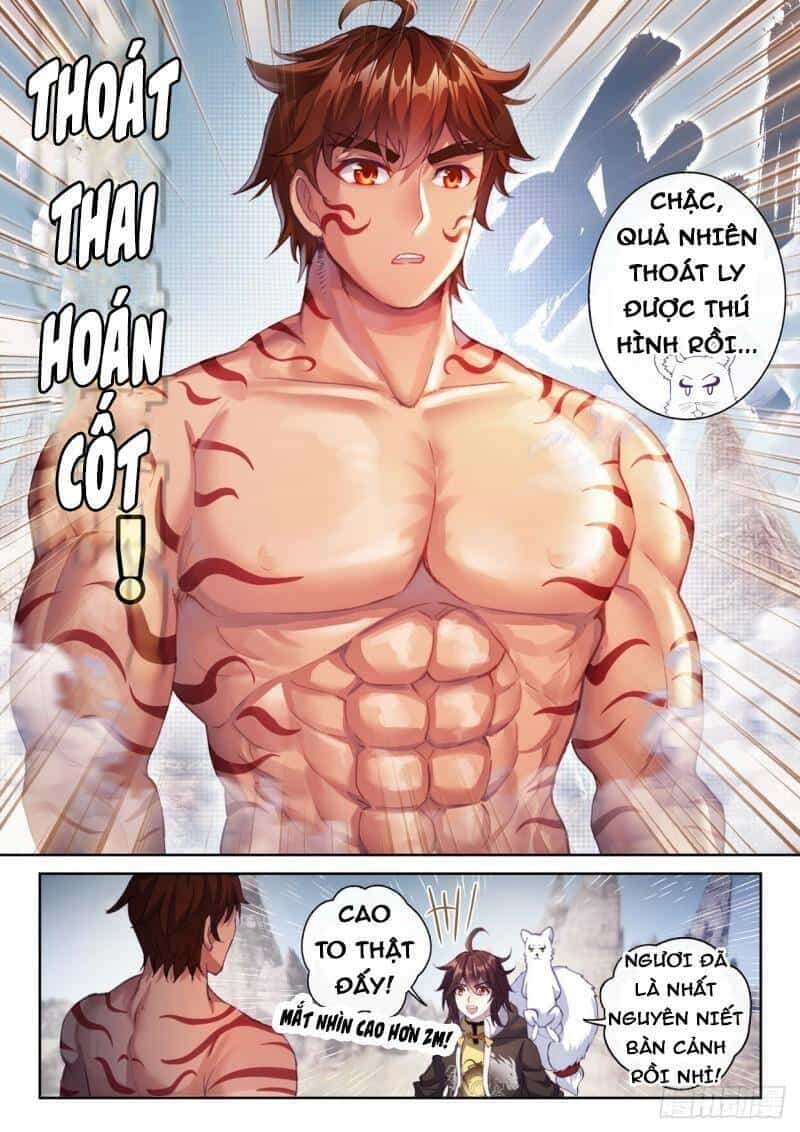 Võ Động Càn Khôn - Chương 173 - ảnh 12