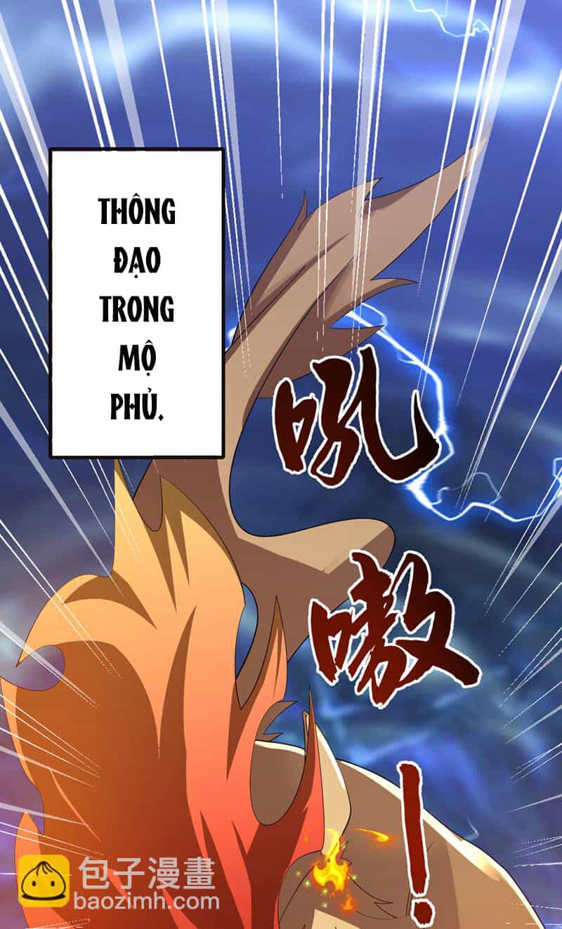 Võ Nghịch - Chương 482 - ảnh 4