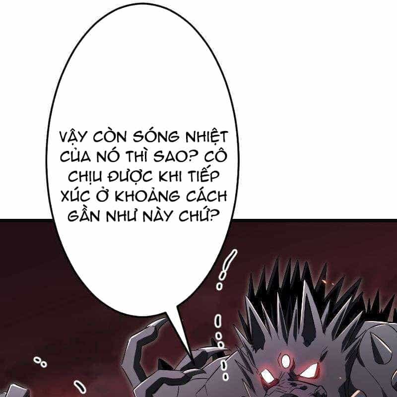 Vô Song Cùng Với Vũ Khí Ẩn - Chương 16 - ảnh 24