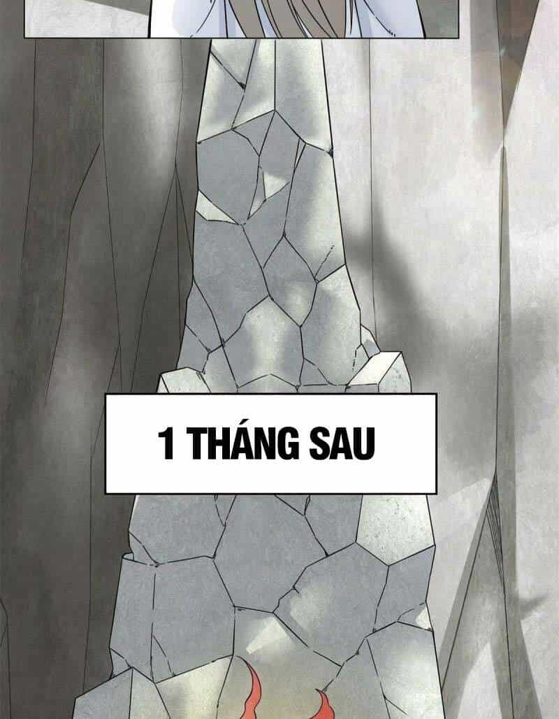 Vô Tận Thôn Phệ - Chương 40 - ảnh 41