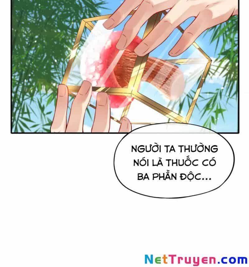 Vòng Bạn Bè Mạnh Nhất Của Tiên Giới - Chương 47 - ảnh 4