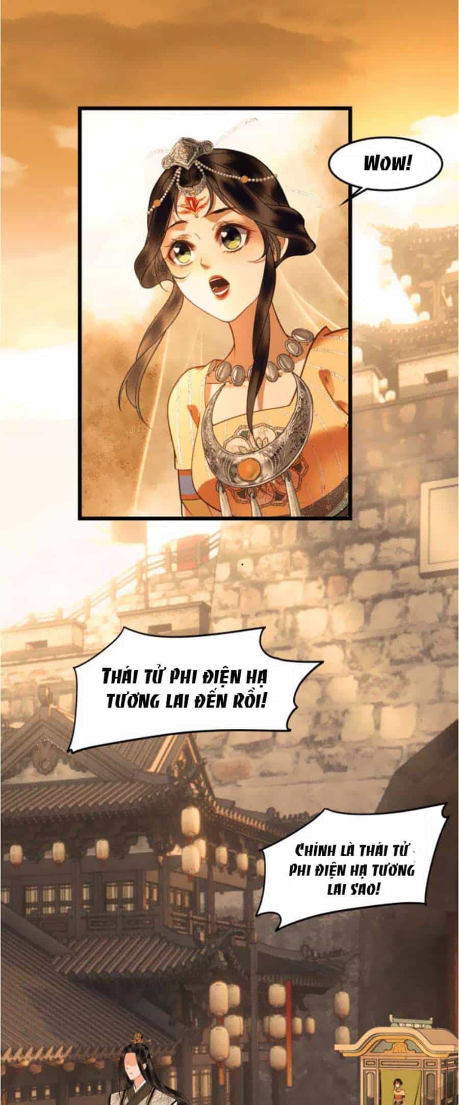 Vu Sa - Chương 19 - ảnh 16