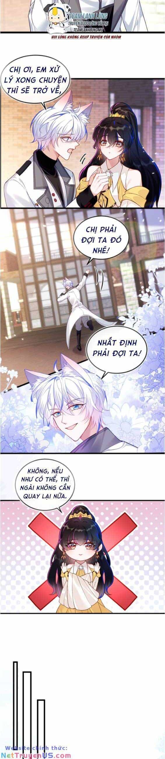 Vừa Mới Huỷ Hôn Đã Bị Dã Hồ Ly Lừa Kết Hôn - Chương 10 - ảnh 8