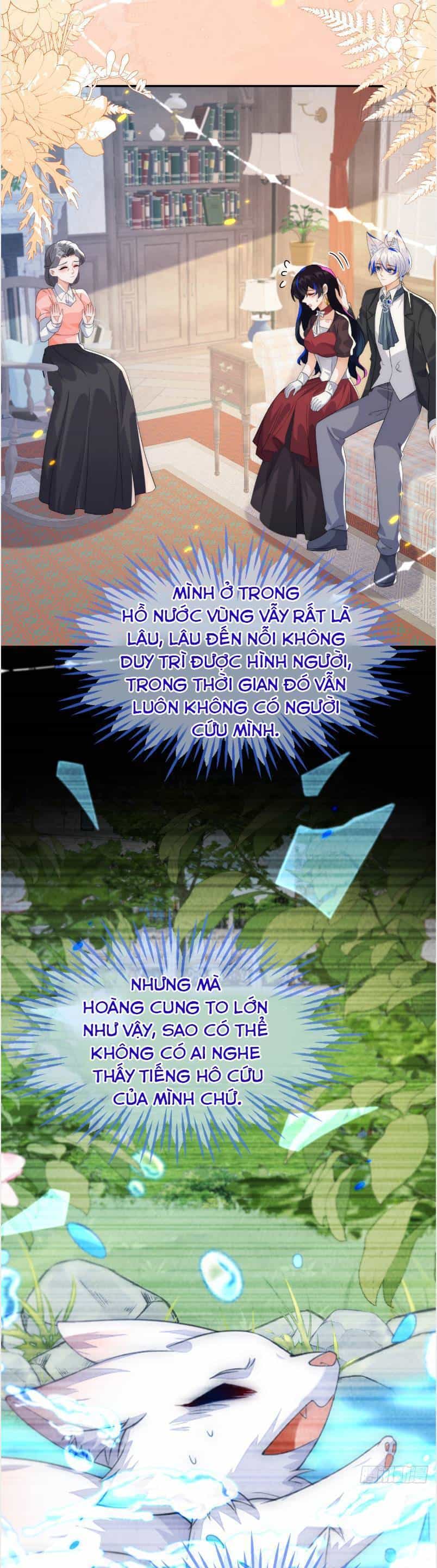 Vừa Mới Huỷ Hôn Đã Bị Dã Hồ Ly Lừa Kết Hôn - Chương 57 - ảnh 23