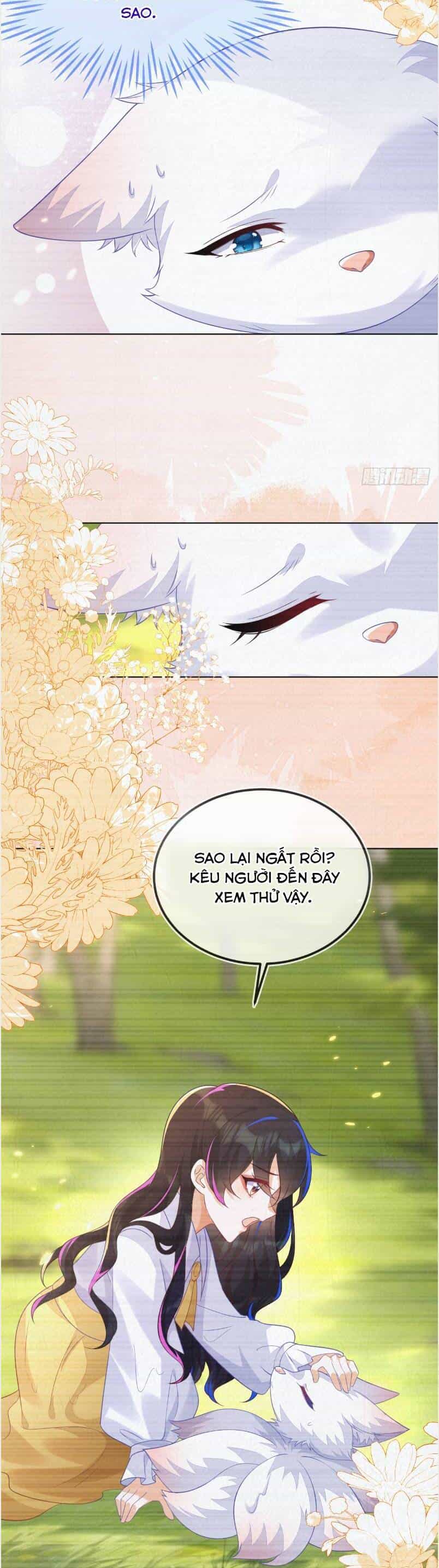 Vừa Mới Huỷ Hôn Đã Bị Dã Hồ Ly Lừa Kết Hôn - Chương 57 - ảnh 8