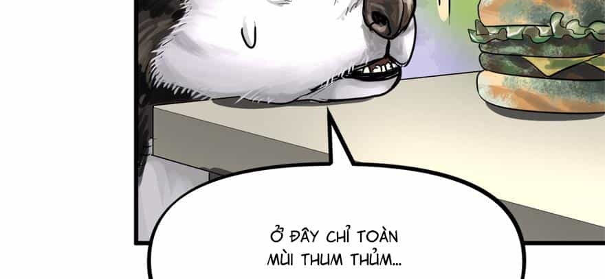 Vua Sinh Tồn - Chương 63 - ảnh 29