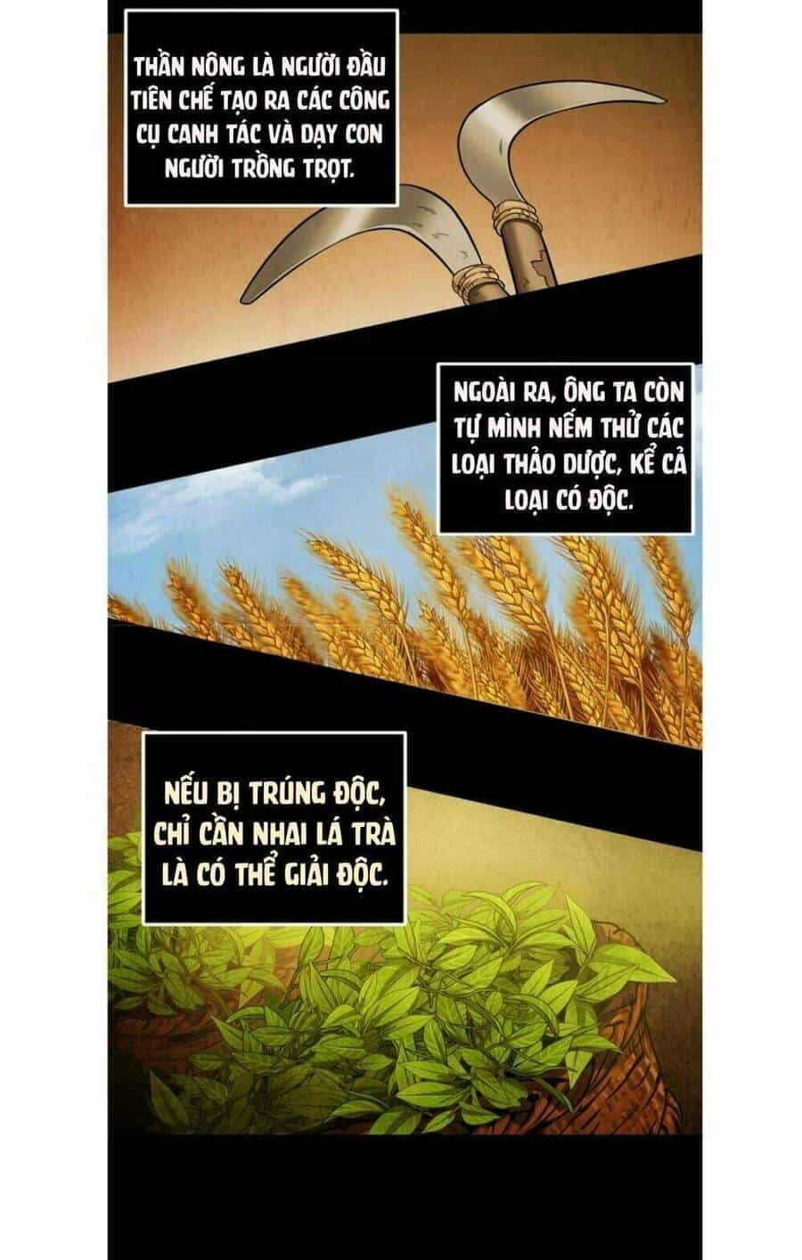 Vua Trộm Mộ - Chương 45 - ảnh 50