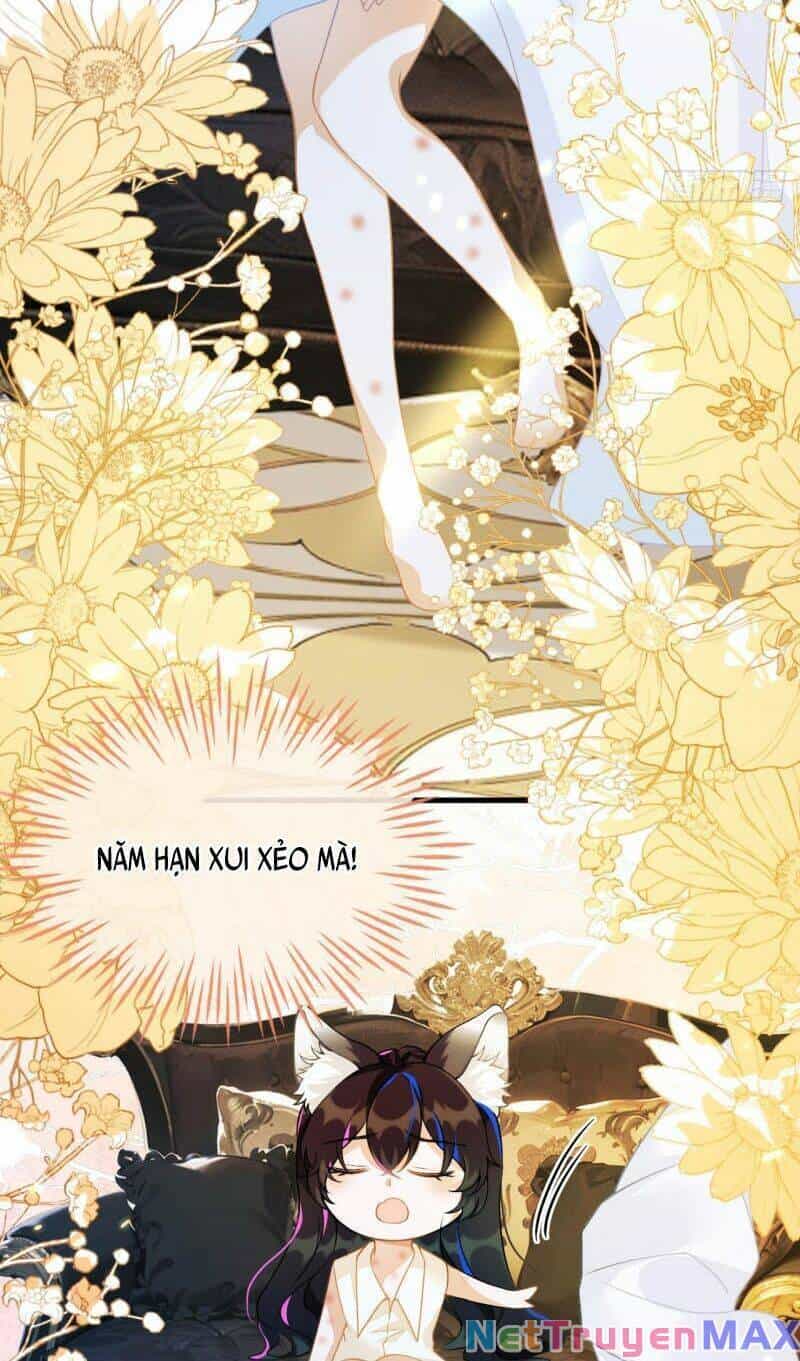 Vừa Từ Hôn Đã Bị Hồ Ly Lừa Vào Cục Dân Chính - Chương 3 - ảnh 52