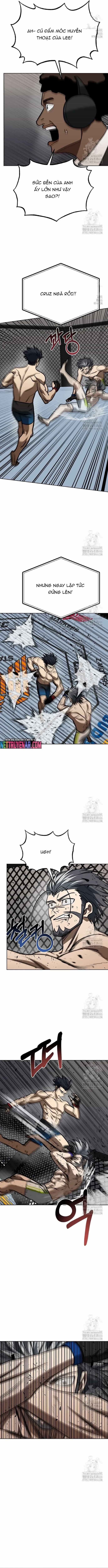 Vua Võ Đài - Chương 148 - ảnh 8