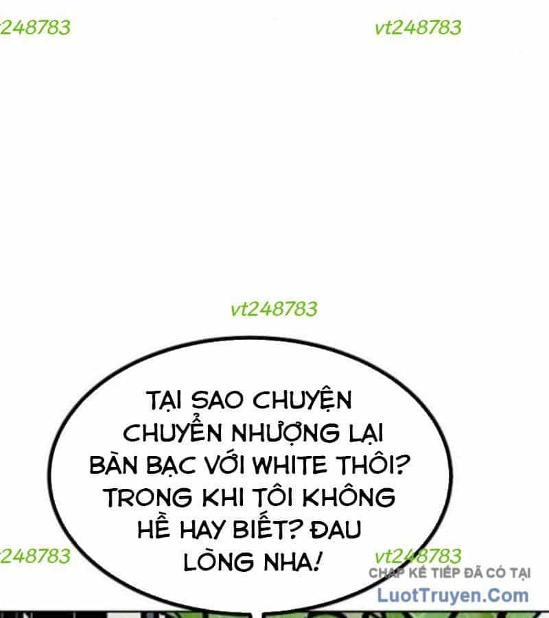 Vua Võ Đài - Chương 164 - ảnh 11