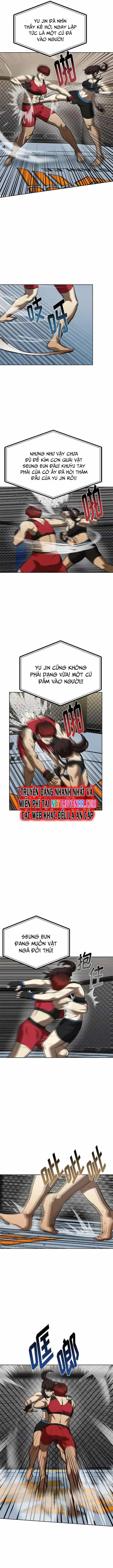 Vua Võ Đài - Chương 73 - ảnh 7