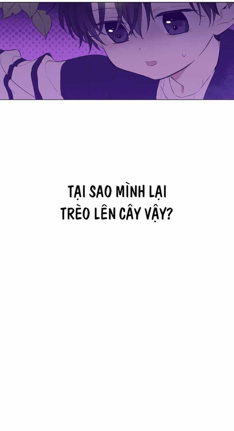 Vùng Đất Rộng Lớn - Chương 4 - ảnh 3
