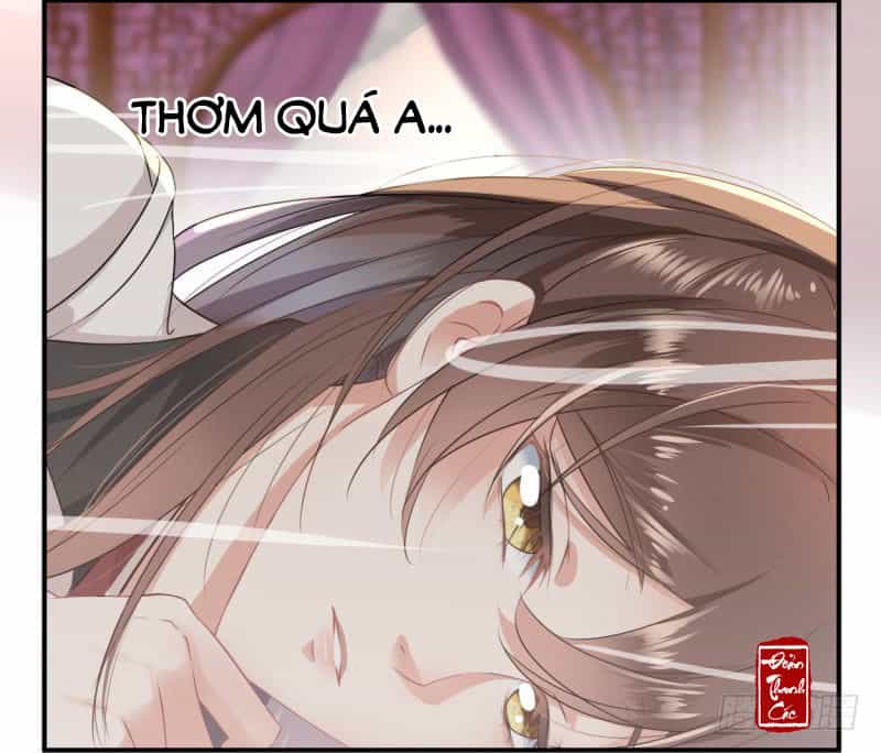 Vương Gia Không Thể Trêu - Chương 11 - ảnh 37