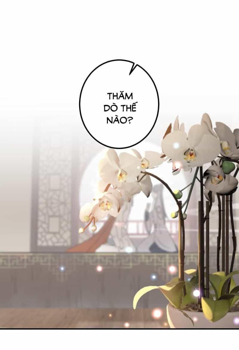 Vương Gia Không Thể Trêu - Chương 104 - ảnh 32