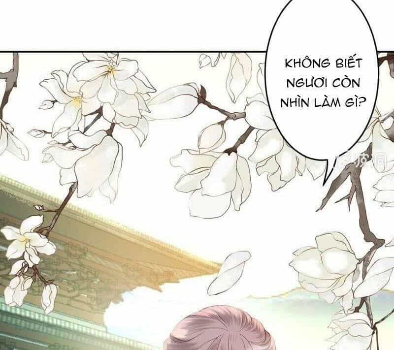 Vương Gia Kiêu Ngạo Quá Khó Cua - Chương 39 - ảnh 6