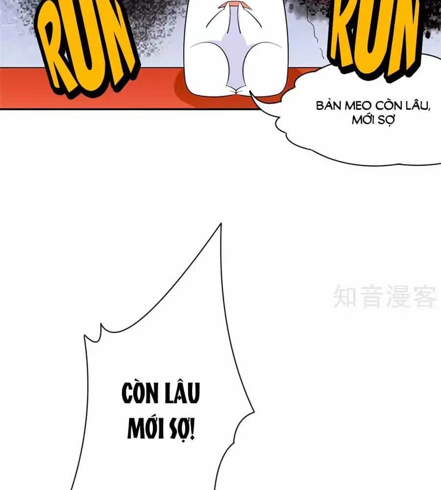 Vương Gia Là Đầu Đại Lão Hổ - Chương 67 - ảnh 12