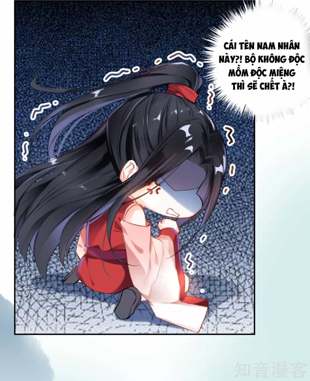 Vương Gia, Mã Giáp Của Người Rơi Rồi - Chương 2 - ảnh 7