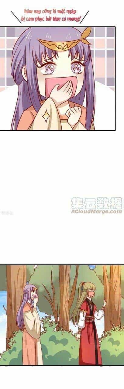 Vương Gia Người Ta Sẽ Giảm Béo Mà!!! - Chương 169 - ảnh 6