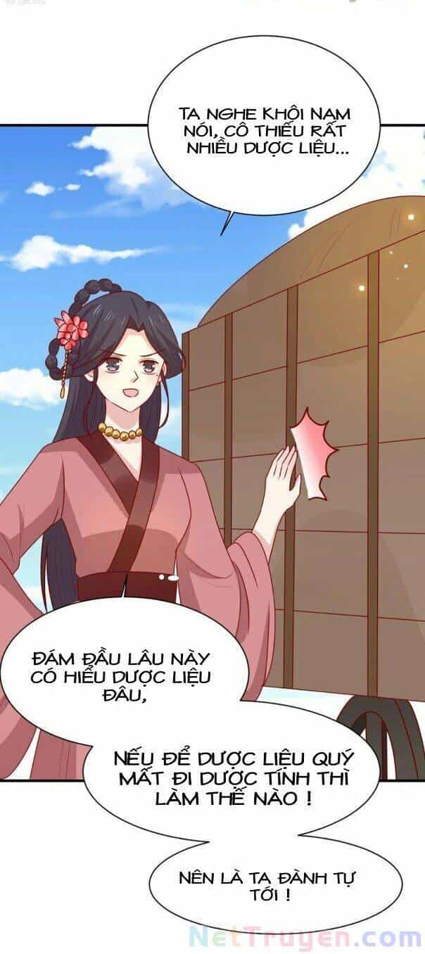 Vương Gia Người Ta Sẽ Giảm Béo Mà!!! - Chương 177 - ảnh 11