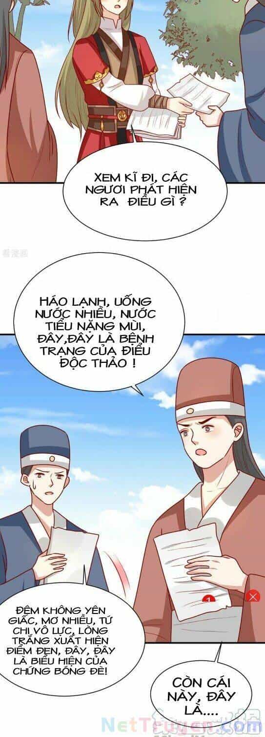 Vương Gia Người Ta Sẽ Giảm Béo Mà!!! - Chương 177 - ảnh 4