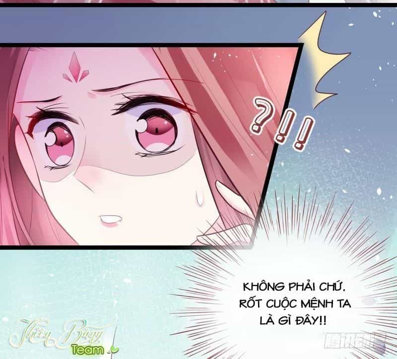 Vương Phi - Âm Động Thiên Hạ - Chương 18 - ảnh 32